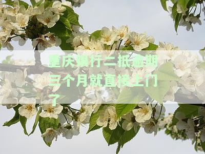 重庆银行二抵逾期三个月就直接上门了