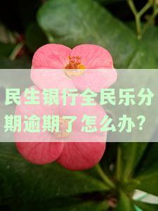 民生全民乐分期影响贷款吗，民生全民乐分期：是否会影 loreng 贷款申请？