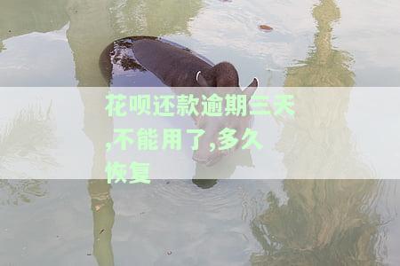 花呗还款逾期三天，无法使用：多久可以恢复正常额度？