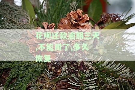 花呗逾期三天后还款能否继续使用？影响信用记录吗？多久能恢复资格？