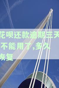 花呗逾期三天还款后不能用？影响使用及征信吗？