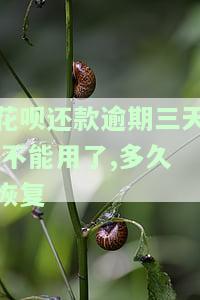 花呗还款逾期三天，不能用了，多久恢复-花呗还款逾期三天,不能用了,多久恢复正常