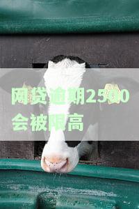 网贷逾期限高令：真的存在吗？解释与影响