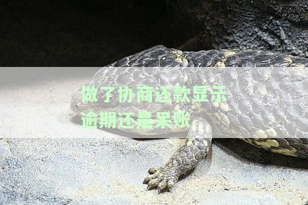 做了协商还款显示逾期还是呆账