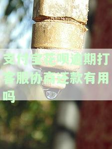 支付宝花呗逾期协商还款客服电话及操作步骤
