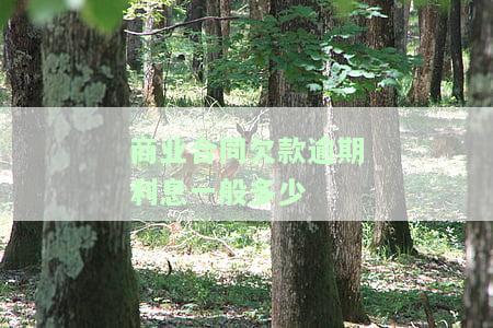 正规商业欠款合同本：如何写作、大全及欠条本