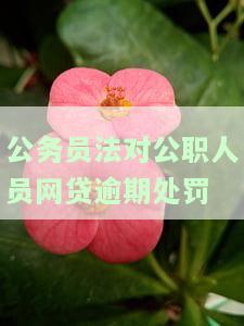 公务员法对公职人员网贷逾期处罚规定，解读：公务员法如何规公职人员的网贷行为？
