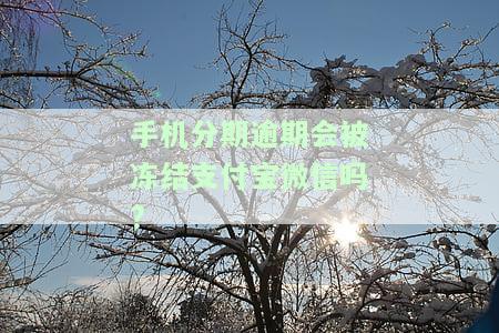 手机分期逾期手机会被锁吗，手机分期还款逾期会导致手机被锁定吗？