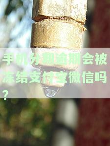 手机分期逾期会被冻结支付宝微信吗?