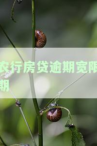 农行房贷逾期几天再存进去会自动扣款吗，农行房贷：逾期几天再存入，系统会自动扣款吗？