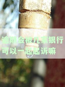 逾期多家银行会被起诉吗？多家银行都逾期了该如何处理？法院会如何判决还款？多家银行逾期会有何影响？逾期一家银行和多家银行，法院是否会合并处理？