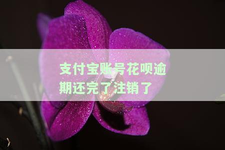 支付宝逾期花呗不能用,注销重新注册能不能使用花呗，支付宝逾期后注销并重新注册，能否继续使用花呗？
