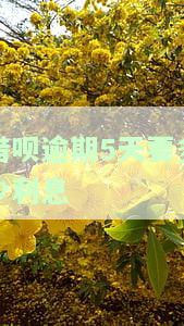借呗逾期五天严重吗？会有什么后果？如何还款？