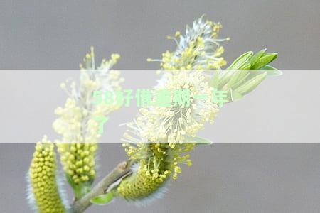 58好借逾期一年了
