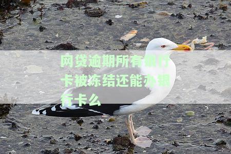 网贷逾期被冻结银行卡结清了多久能解除，如何解除因网贷逾期被冻结的银行卡？结清后多久可以解冻？