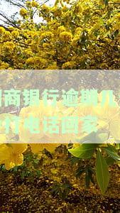 招商逾期多少天会打电话给家人、催收？会上征信吗？客服称不影响，逾期几天开始催收？