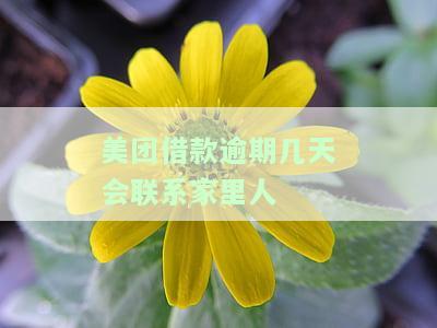 美团借款逾期几天会联系家里人电话？影响及解决办法