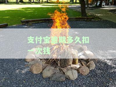 支付宝逾期多久会让一次性还清？全攻略！