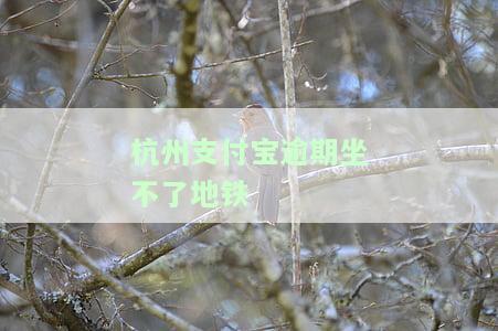 州支付宝逾期坐不了地铁-州支付宝逾期坐不了地铁怎么办