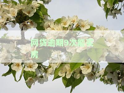 网贷逾期9次能买房子吗，网贷逾期9次，是否影响购房资格？