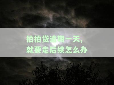 拍拍贷逾期一天要求8点之前,态度很差，拍拍贷：逾期一天需在8点前还款，客服态度恶劣