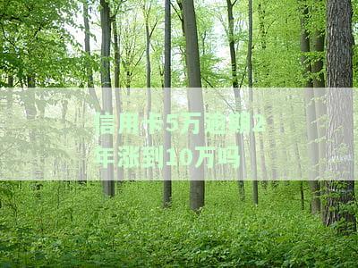 信用卡5万逾期2年涨到10万吗