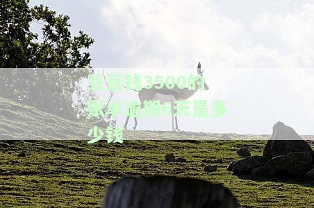 豆豆钱3500的账单逾期6天是多少钱