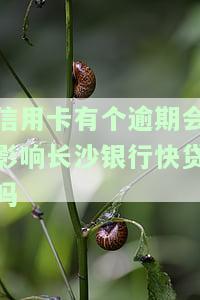 信用卡有个逾期会影响长沙银行快贷吗，信用卡逾期是否会影响申请长沙银行快贷？