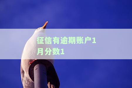 征信逾期账户数和月份数，监控个人信用：如何理解和管理征信逾期账户数和月份数？