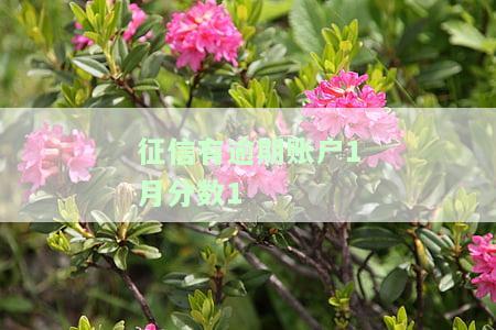 个人征信逾期月份数3，您的个人征信报告中显示逾期月份数为3，需要注意及时还款