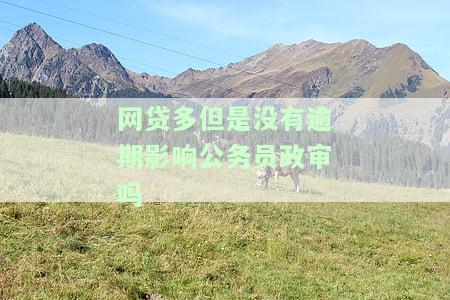 网贷多但是没有逾期影响公务员政审吗-网贷多但是没有逾期影响公务员政审吗