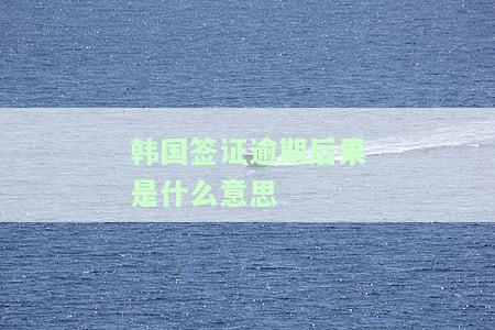 国签证期，如何在国申请签证期？