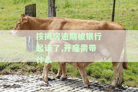 按揭房逾期被银行起诉，开庭需要哪些证件？房贷逾期被起诉开庭前能否协商解决？拖欠房贷被银行起诉，开庭是否必须参加？房子贷款被银行起诉，开庭不去会有什么后果？欠房贷银行起诉法院开庭后多久会查封房子？