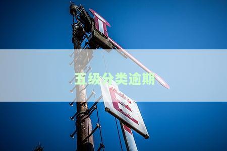 五级分类逾期天数，深入了解信贷风险：探究五级分类逾期天数的影响