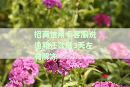 招商信用卡客服说逾期还款后3天右解冻，是指逾期后三天才能正常使用吗？