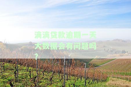 滴滴贷款逾期一天大数据会有问题吗?-滴滴贷款逾期一天大数据会有问题吗知乎