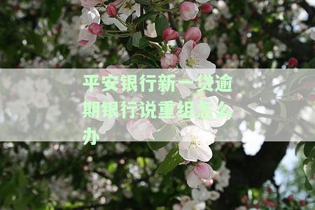 平安银行新一贷逾期30天内有什么影响，了解平安银行新一贷逾期30天内的影响，避免信用受损！