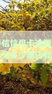 中信银行逾期最多可以协商分多少期，中信银行逾期还款：最长可申请分期多少期？