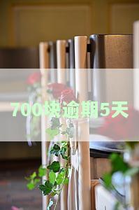 逾期七百多天：是否算恶意诈骗？影响及处理方法探讨