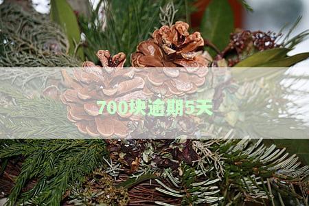 '逾期五百多天怎么办？如何处理逾期五百年以上的情况？'