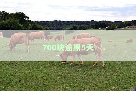 5000元逾期5天多少钱，逾期5天，5000元需要支付多少罚息？