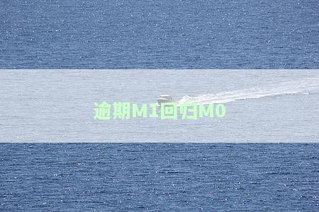 M1是指逾期多久？详解M1、M2、M1 、M1M2M3逾期含义及区别
