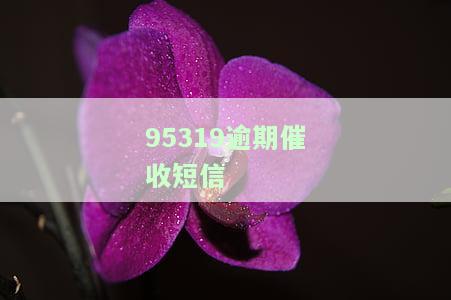 95319逾期催收短信-95302催收短信
