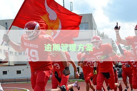 逾期账款的全面管理：办法、制度、原则、流程与方法的规定