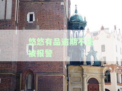 悠悠有品逾期不还被报警，后果严重！
