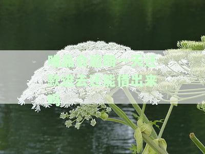 唯品会逾期一天还款进去还能借出来吗-唯品会逾期一天还款进去还能借出来吗