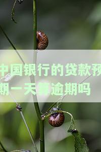 中国银行贷款晚一天有影响吗？还款规定及后果解析