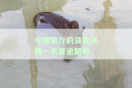 中国银行贷款晚一天还款会有何影响？逾期处理方式及后果解析