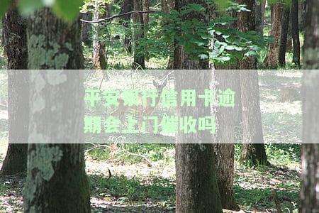 平安银行信用卡逾期会上门催收吗？真的会吗？欠款几千万都会上门调查吗？