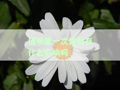 借呗第一次逾期有什么影响吗-借呗第一次逾期有什么影响吗知乎